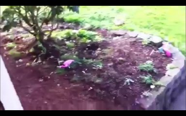 10 year old fixes Xbox red ring of death