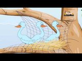 Panchatantra Tales in Telugu - The Wise Old Bird