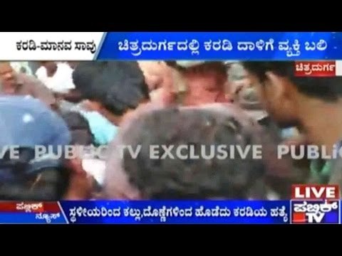 Mob Beats Up Bear To Death For Killing A Local Farmer