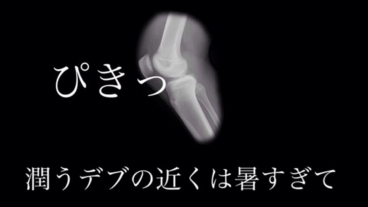 【替え歌】13の純情な感情  SIAM SHADE うたたすくこま