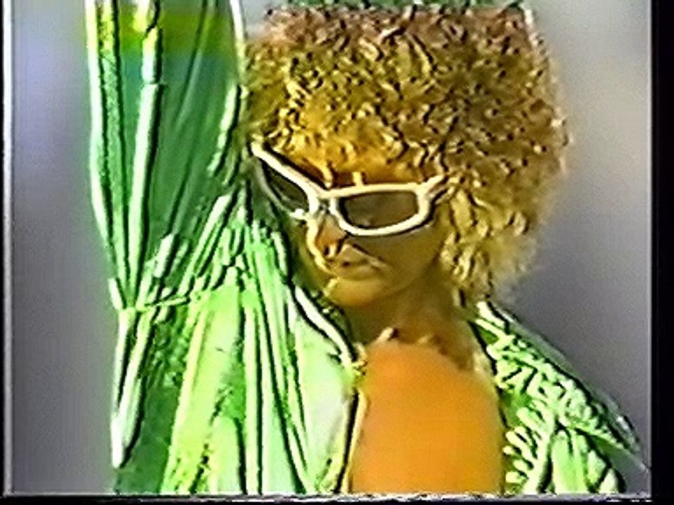 Michel Polnareff - Tout, Tout Pour Ma Chérie / J'ai Tellement De Choses A Dire / Holidays (Japanese TV) (1979)