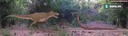 Sẽ ra sao nếu khủng long bạo chúa đối đầu với loài rắn lớn nhất lịch sử Trái Đất