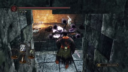 DARK SOULS™ II: Borduna do Bravo Bruxo do Bosque