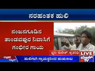 Tiger Drags Cattle Herder Away In Mysuru District