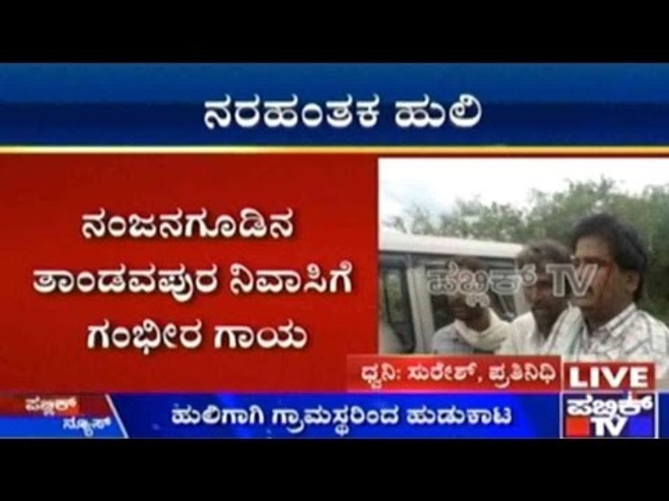 Tiger Drags Cattle Herder Away In Mysuru District