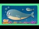 Whale Rhymes, Whale Animal Rhymes Videos for Children