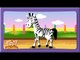 Zebra Rhymes, Zebra Animal Rhymes Videos for Children