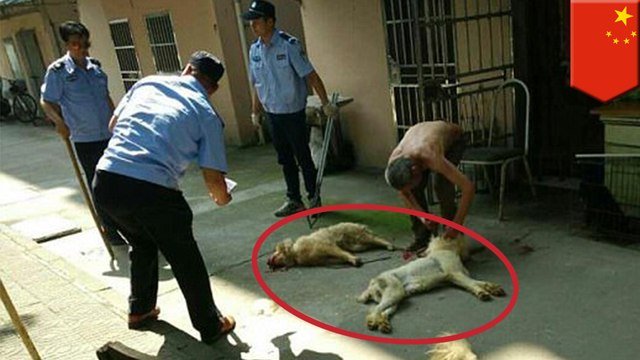 Pet dogs dragged from home, beaten to death in front of owner