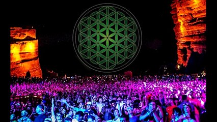 Choose Party Bus Rental Company in Denver