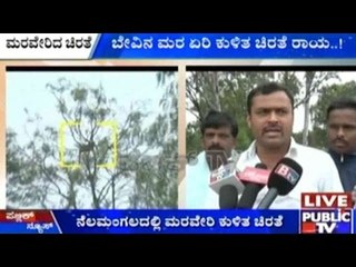A Cheetah In Nelamangala Causes Panic