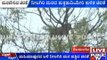 Forest Officials Capture A Cheetah In Nelamangala