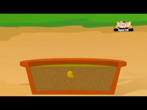 Learn about Plants in Kannada - Starting to Grow