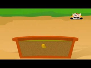 Learn about Plants in Kannada - Starting to Grow