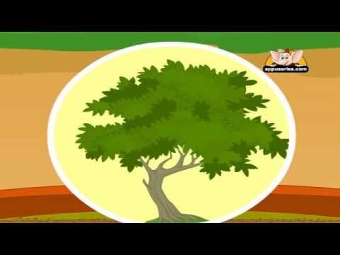 Learn about Plants in Kannada - Different Parts