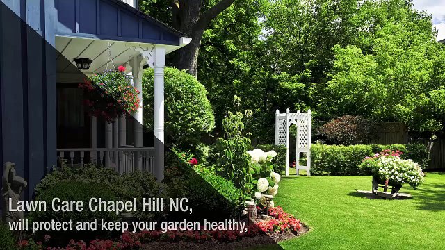 Organic Lawn Care At Its Finest With Pleasant Green Grass