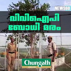 വി വി ഐ പി ബോധി മരം