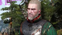 The Witcher 3 fist of fury skillige grim_1080P_H.264_CRF25_SUPERFAST