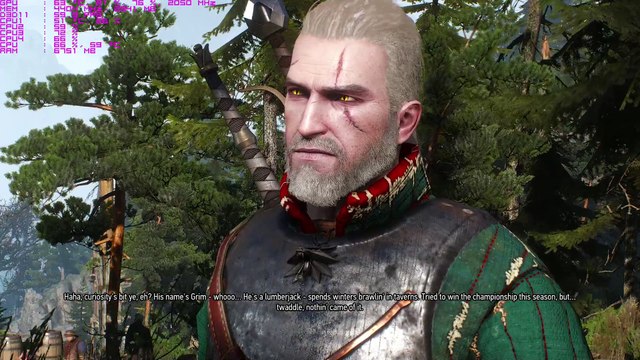 The Witcher 3 fist of fury skillige grim_1080P_H.264_CRF25_SUPERFAST