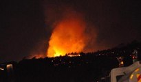 İzmir'de makilik alan yangını
