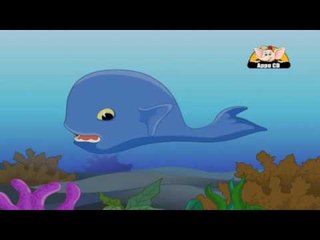 Learn about animals in Kannada - Animals that can swim