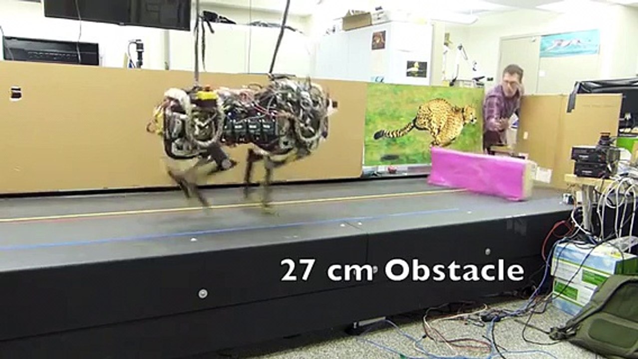 Robots