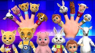 Finger Family Song - 3D Animals Finger Family Nursery Rhymes