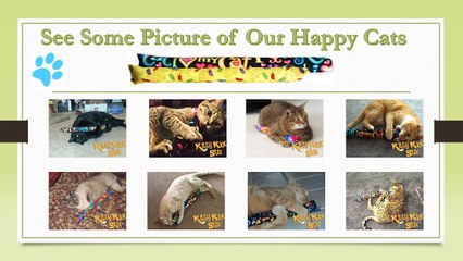 Get Complete Information About World's Best Toy Kitty Kick Stix