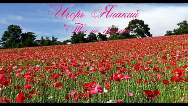 Игорь Янакий. Ты не грусти.