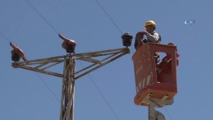 Göçmen Kuşlar 'Ölmesin' Diye 4 Milyon Lira Harcadılar