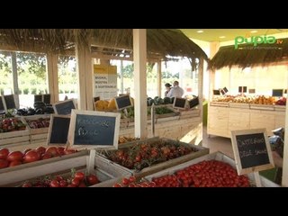 Aversa (CE) - Fresca24, l'innovativo OrtoNegozio: frutta e verdura a "metro zero" (14.07.17)
