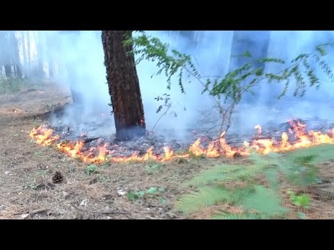 Incendi nel Vesuviano: Sono dolosi . Il ministro Galletti incontra i sindaci (13.07.17)