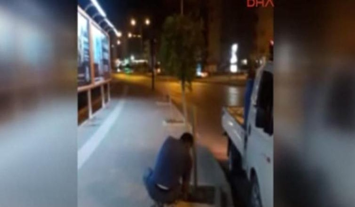 Ağaç katliamı kamerada