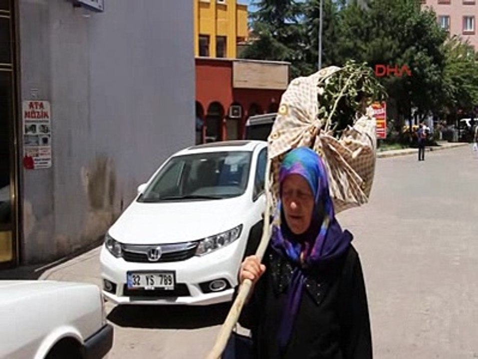 Kesilen ağacını omuzladı, belediyeye hesap sordu