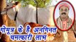 Gomutra, गोमूत्र | Drinking Cow Urine | Health Benefits | गोमूत्र के सेवन से पायें ये  लाभ | Boldsky