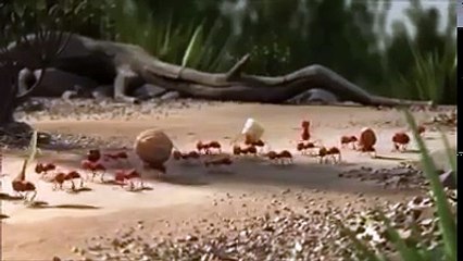 UNION IS A GREAT STRENGTH