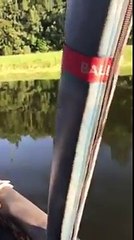 Une montgolfière rate son atterrissage et termine dans l'eau avec les passagers près de Disney World.