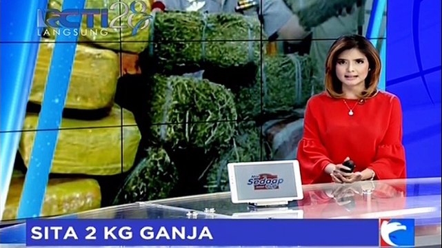 Polisi Gagalkan Pengiriman Paket 2 Kg Ganja ke Jakarta