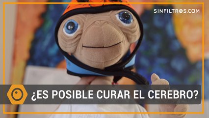 ¿Es posible curar el cerebro? | Sinfiltros.com