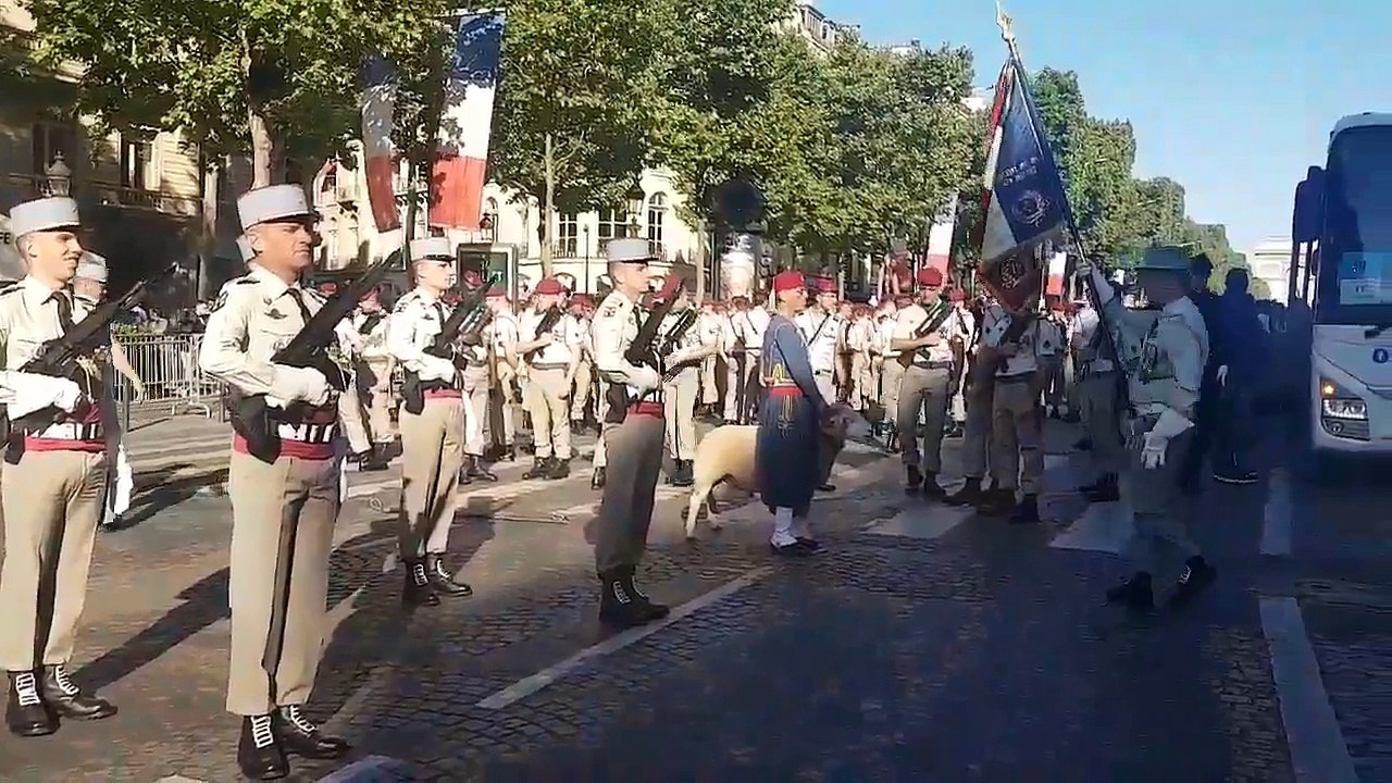 Un bélier au milieu du 1er régiment de Tirailleurs