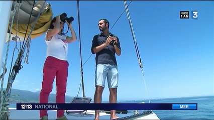 Pyrénées-Orientales : la sensibilisation à la sauvegarde des dauphins