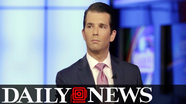 Russian lobbyist attended meeting with Donald Trump Jr.