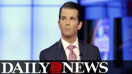 Russian lobbyist attended meeting with Donald Trump Jr.