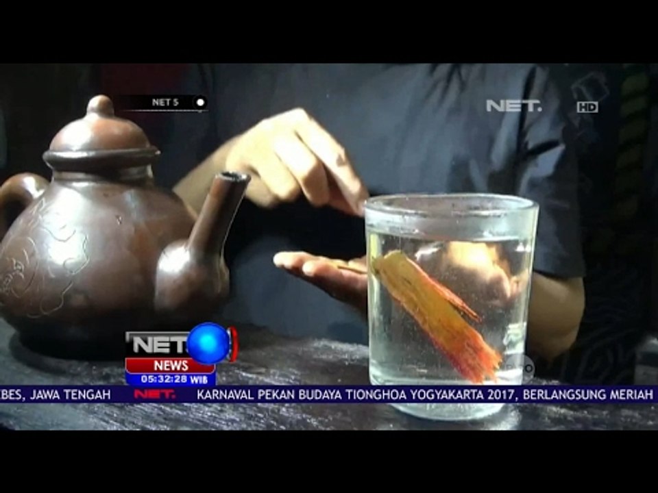 Teh Sepang, Teh yang Terbuat dari Batang Kayu Liar - NET5