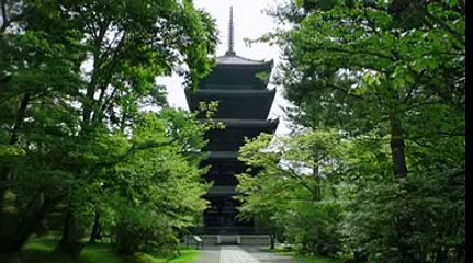 PBS NATURE The Mystery of Eels