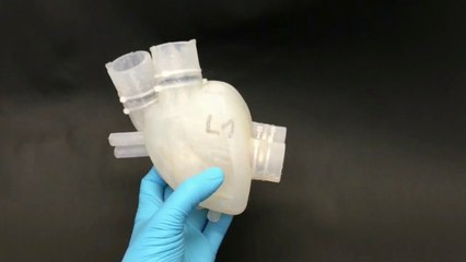Corazón artificial impreso en 3D bombea sangre como uno de verdad