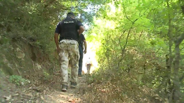 Demiraj bën bilancin: Në 50 ditë kapëm 30 tonë hashash - Top Channel Albania - News - Lajme