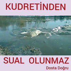 Cenabı Allahın hikmetinden kudretinden sual olunmaz mutlaka izleyin