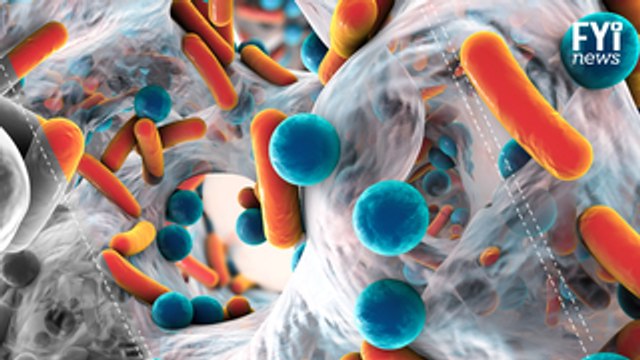 OMS alerta sobre bactérias super resistentes