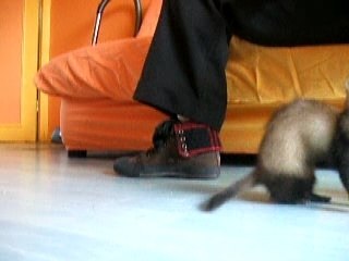 1er Tourne toute seule