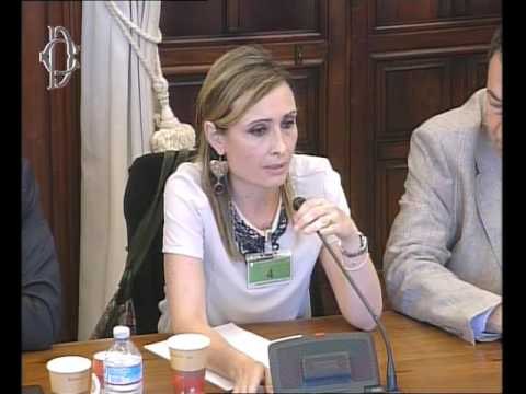 Roma - Riforma Inps e Inail, audizione associazioni e cooperative (27.06.17)